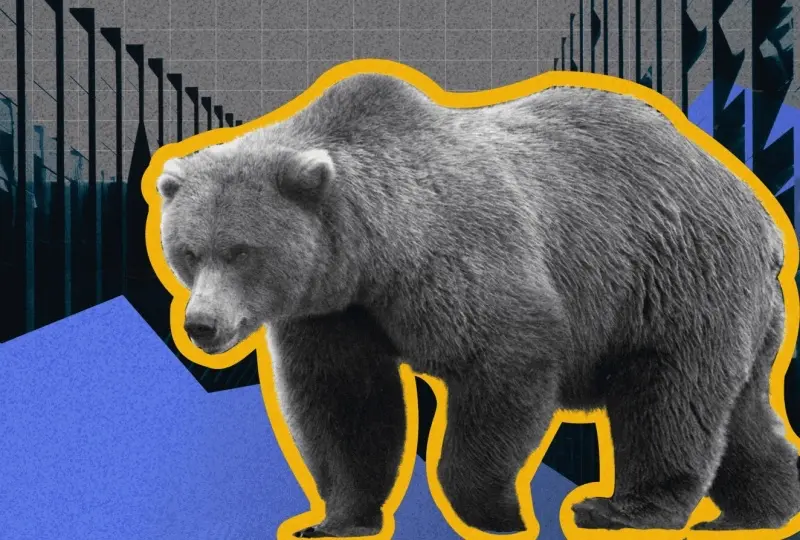 Image of a bear, depicting trading in a recession.